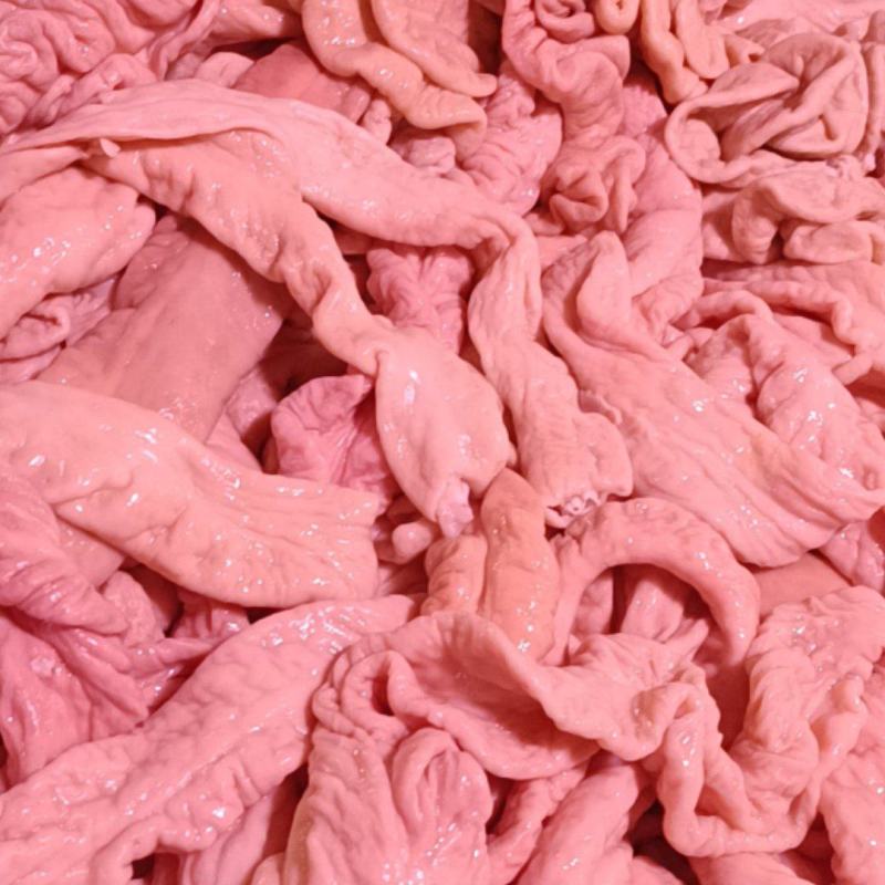 一级预煮精品大肠