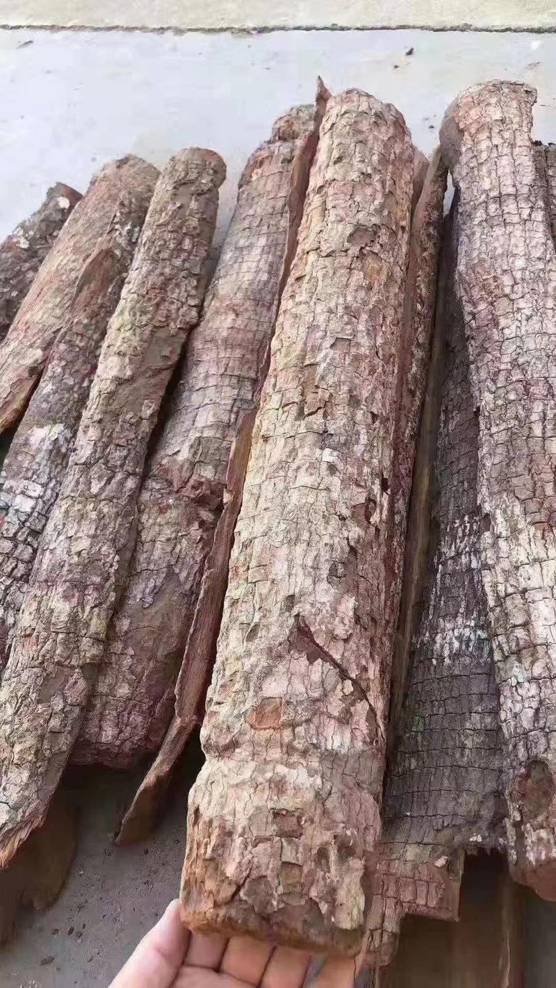 安哥拉卡宾达树皮正宗特级正品非洲男性kuba树皮纯野生