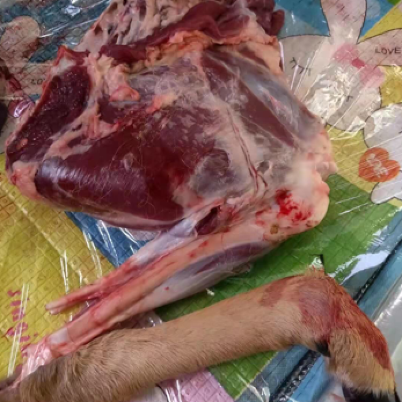 鹿肉批发35一斤包邮