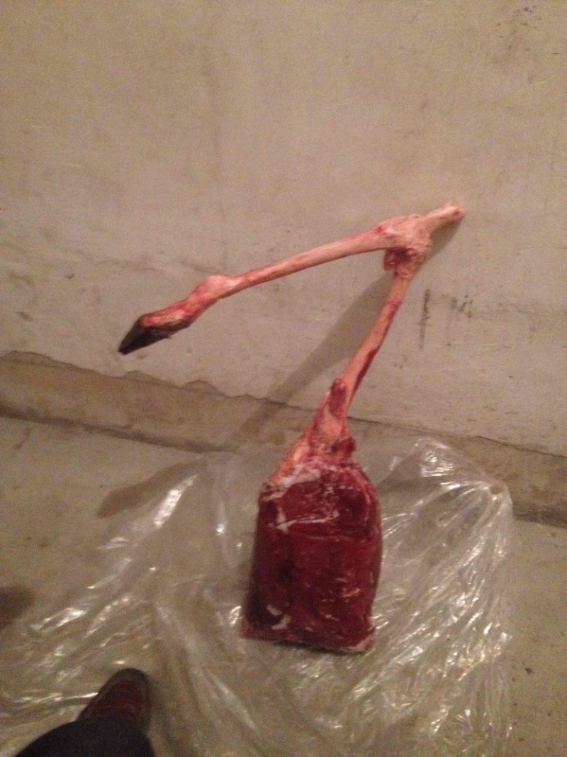 鹿肉批发35一斤包邮