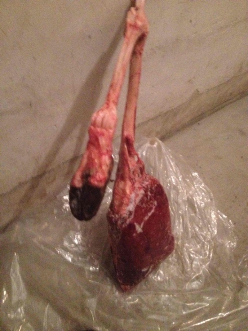 鹿肉批发35一斤包邮