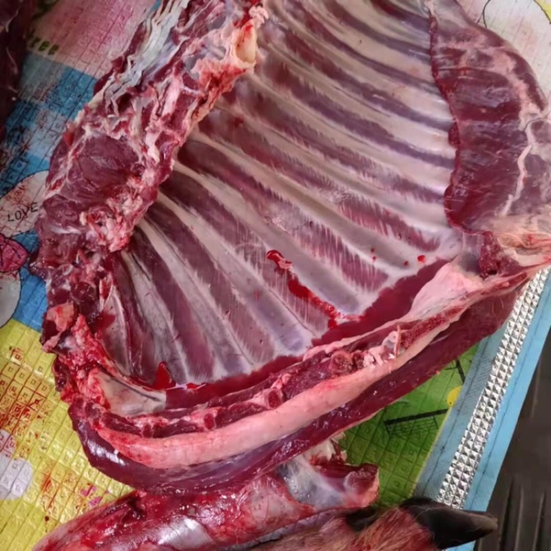 鹿肉批发35一斤包邮