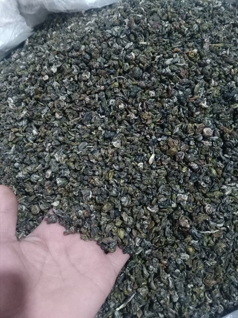 云南普洱碧螺春_包邮
