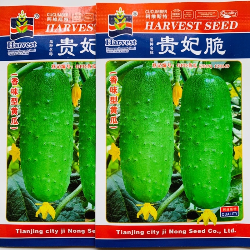 香味型水果黄瓜种子耐热性好春秋两季种植甜脆黄瓜种子