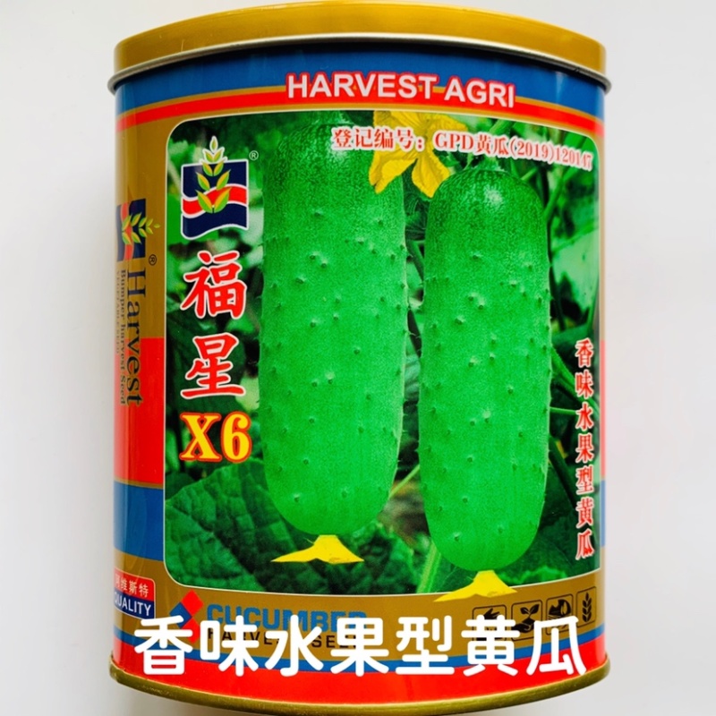 香味型水果黄瓜种子耐热性好春秋两季种植甜脆黄瓜种子