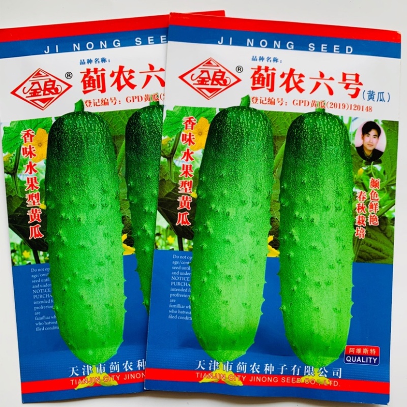 香味型水果黄瓜种子耐热性好春秋两季种植甜脆黄瓜种子