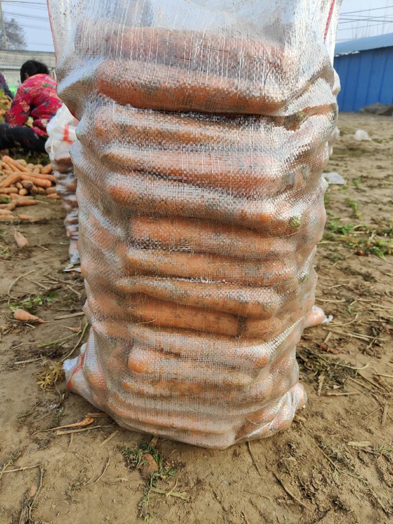 精品胡萝卜，土货，水洗，电商市场超市档口代发全国各地