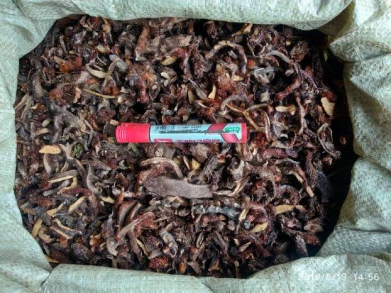 贵州铜仁生鲜骨碎补干品爬岩姜干货毛姜含量高产地直发