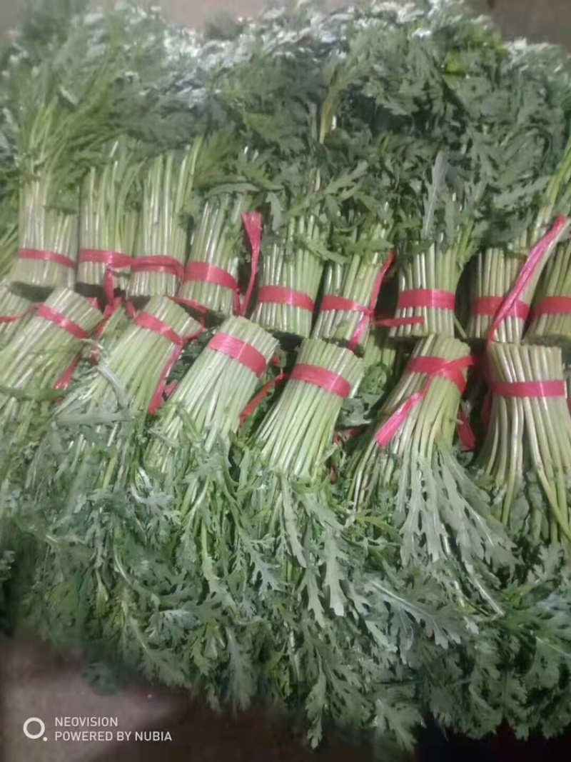 皇帝菜（蒿子杆）