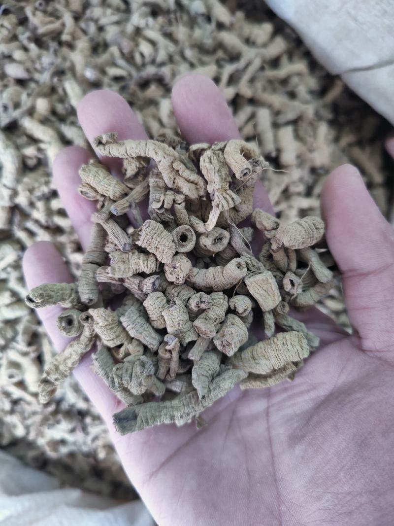 巴戟天中药材新生晒干巴戟德庆巴戟天巴戟天中药材新生晒干巴