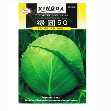 甘蓝种子绿圆50甘蓝种籽早熟耐裂球不易抽薹紧实基地品种