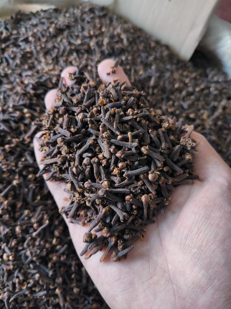 丁香卤肉调料香料大全批粉发山奈公丁香钓鱼花茶泡水