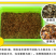 红油香椿种子红油香椿芽苗菜种子速生红香椿树四季易种蔬菜