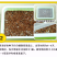 红油香椿种子红油香椿芽苗菜种子速生红香椿树四季易种蔬菜