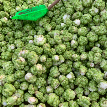 四川榨菜基金大量有货！有需要的老板赶紧联系