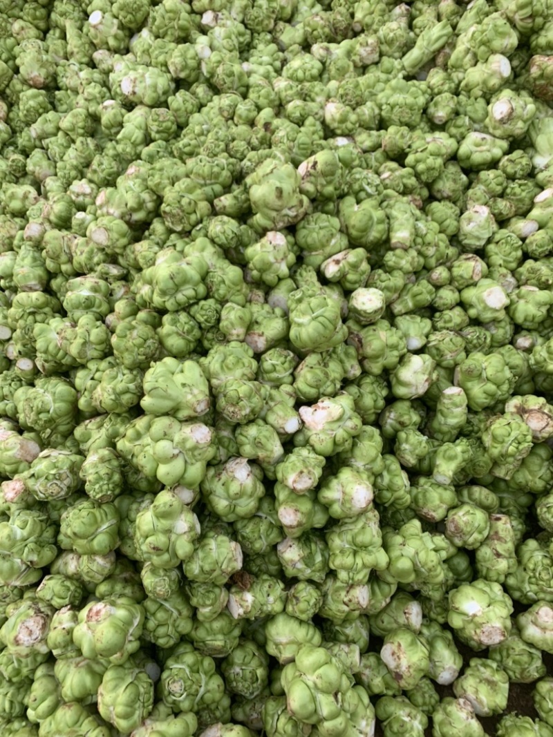 四川榨菜基金大量有货！有需要的老板赶紧联系