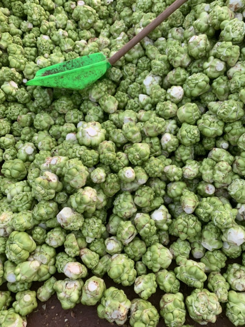 四川榨菜基金大量有货！有需要的老板赶紧联系