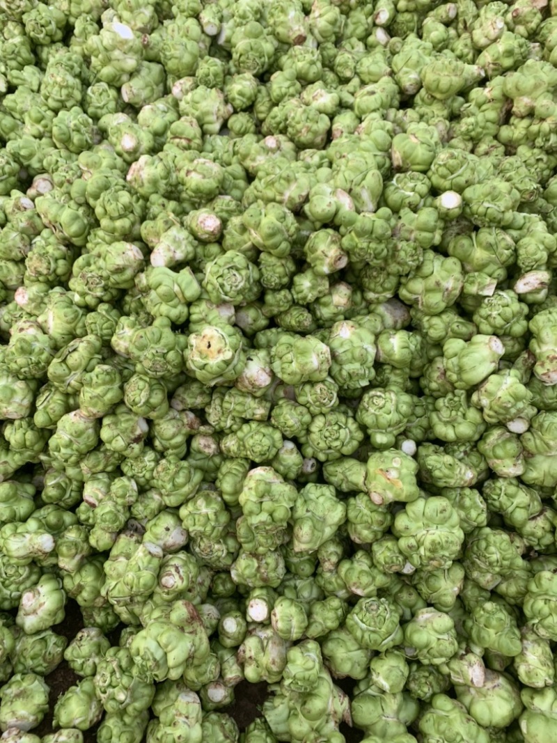 四川榨菜基金大量有货！有需要的老板赶紧联系