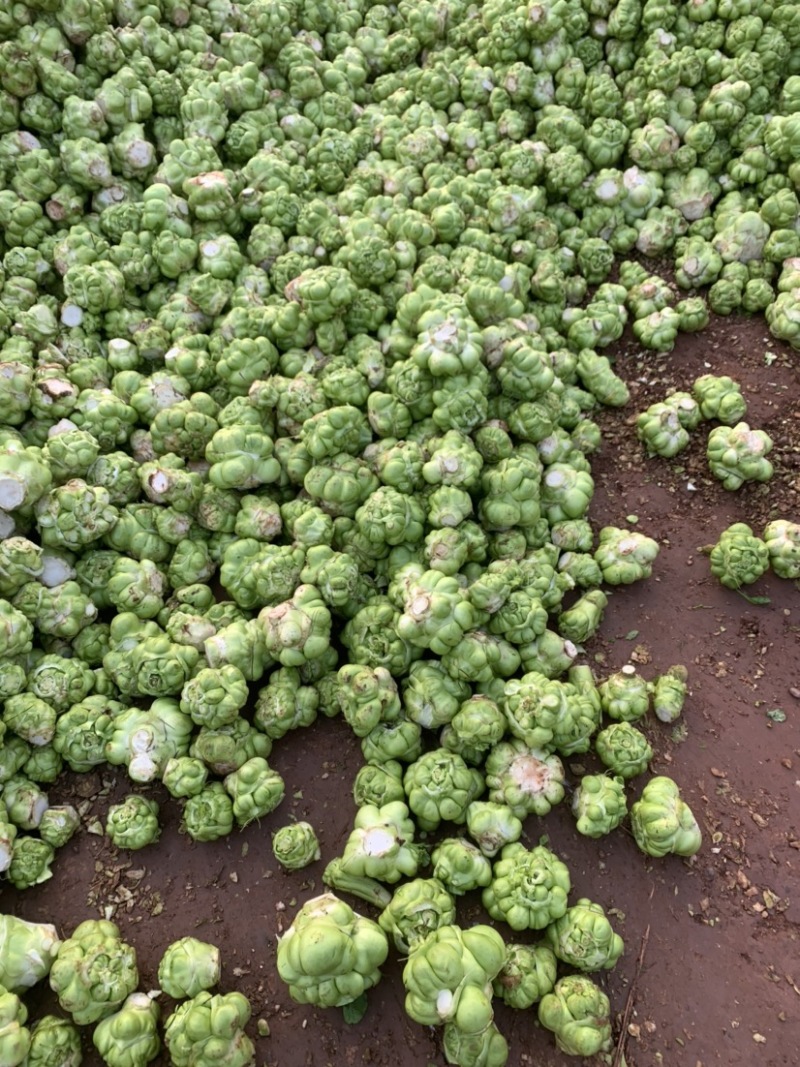 四川榨菜基金大量有货！有需要的老板赶紧联系