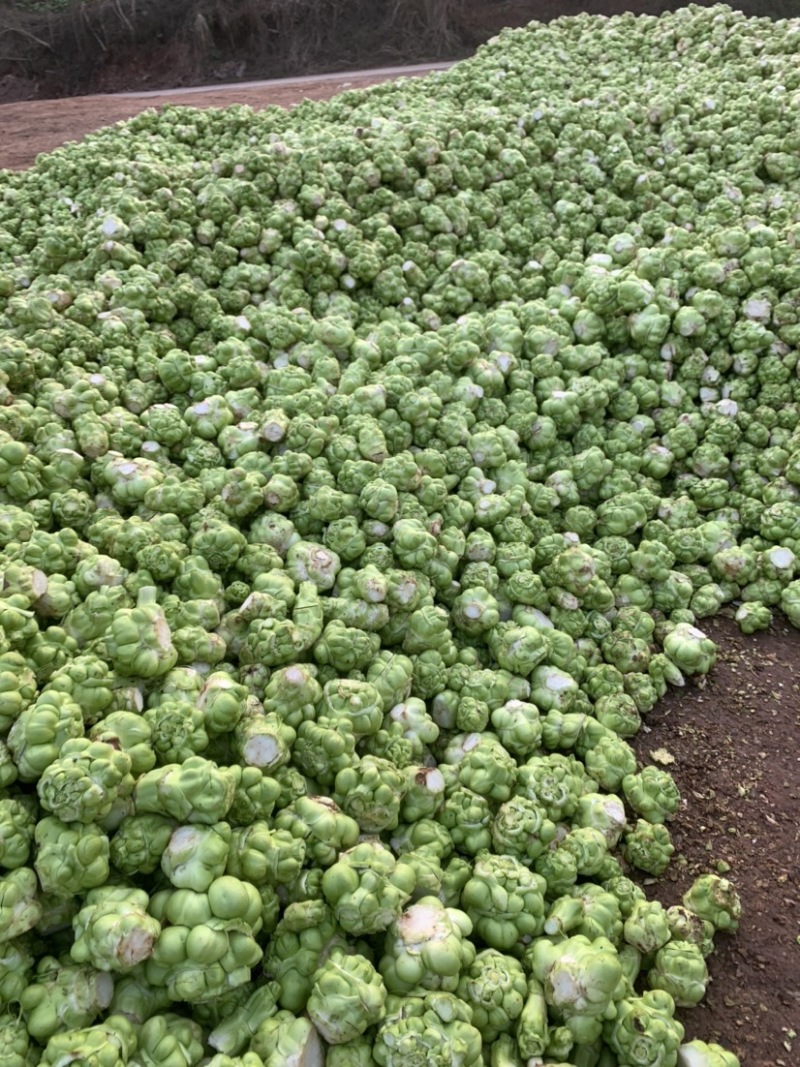 四川榨菜基金大量有货！有需要的老板赶紧联系