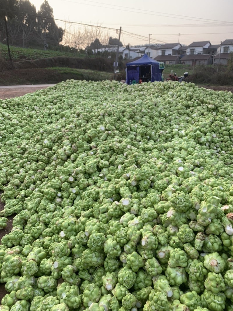 四川榨菜基金大量有货！有需要的老板赶紧联系