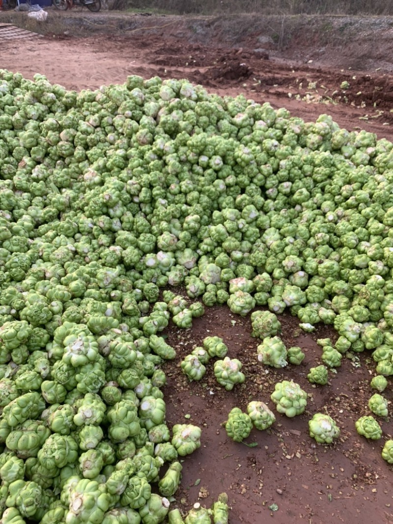 四川榨菜基金大量有货！有需要的老板赶紧联系