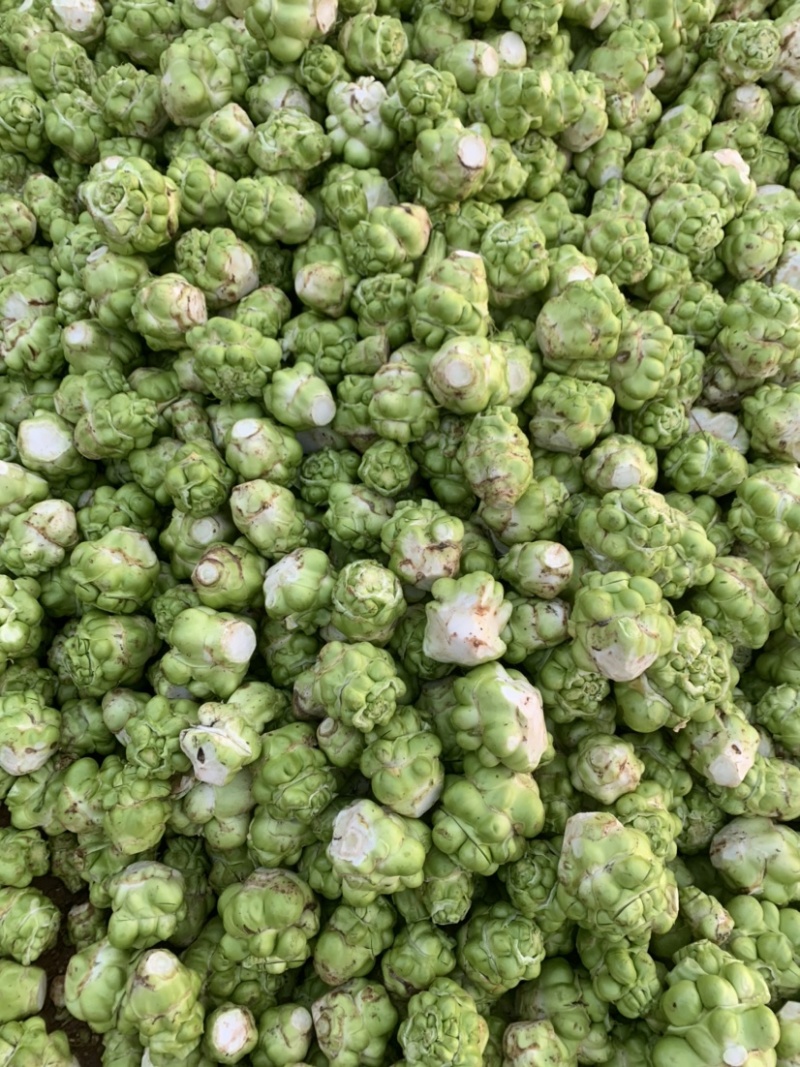 四川榨菜基金大量有货！有需要的老板赶紧联系