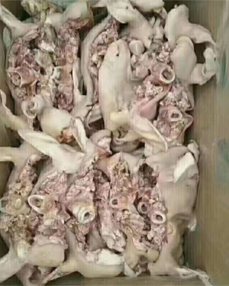 熟羊头肉