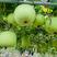 新研发小型冬瓜新品种芋头香味冬瓜种子一串铃冬瓜耐热