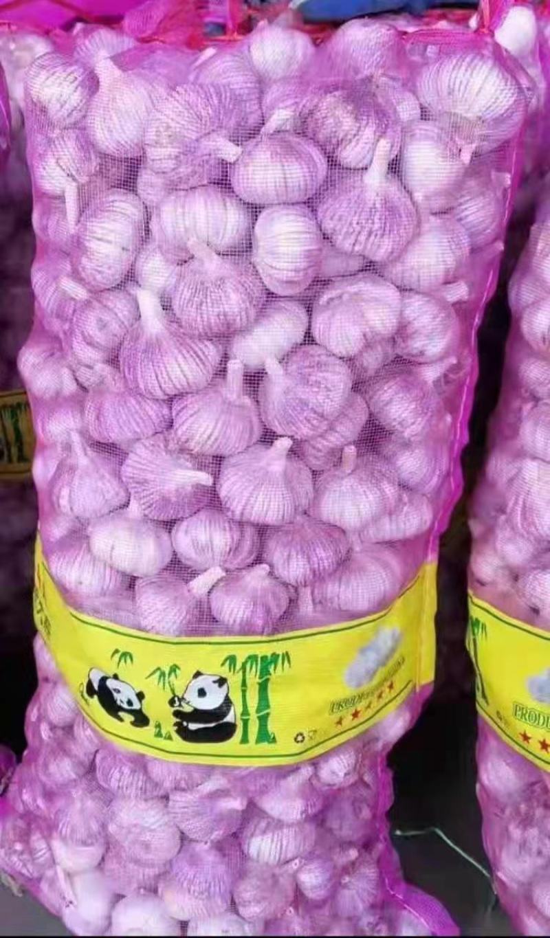 开封大蒜-紫皮蒜产地现货品质好价格优惠