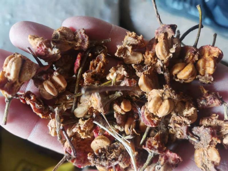 山东饲料原料山楂仔，一手货源，品质保证，可视频看货，验货