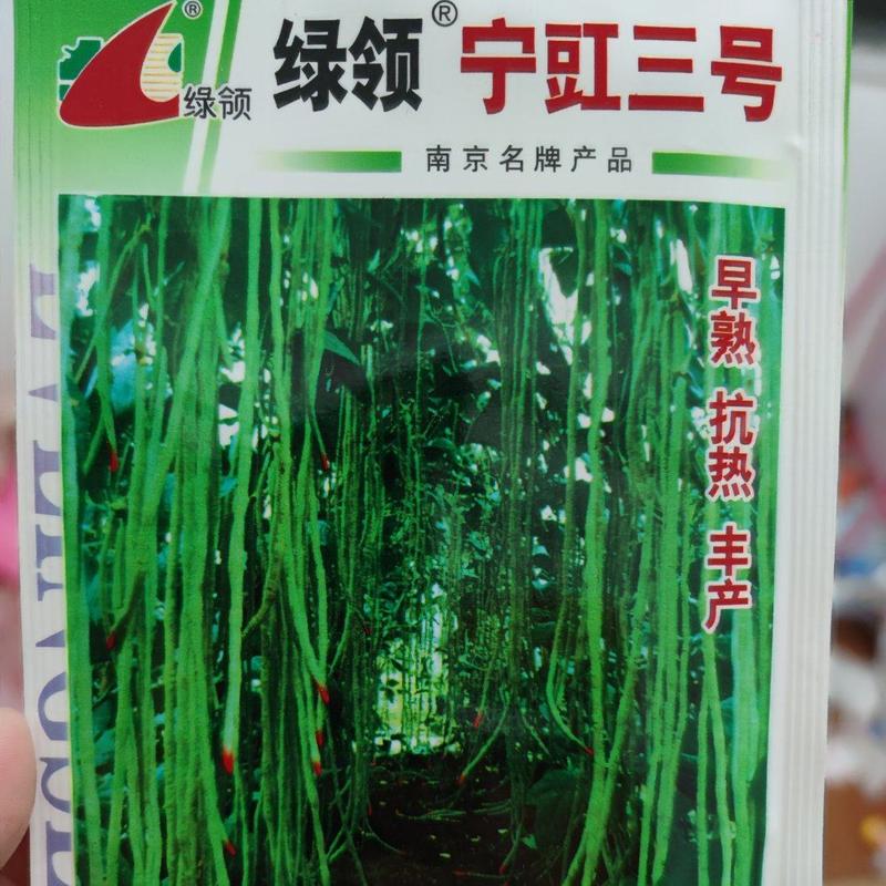 绿领宁豇三号豇豆种子，30克，