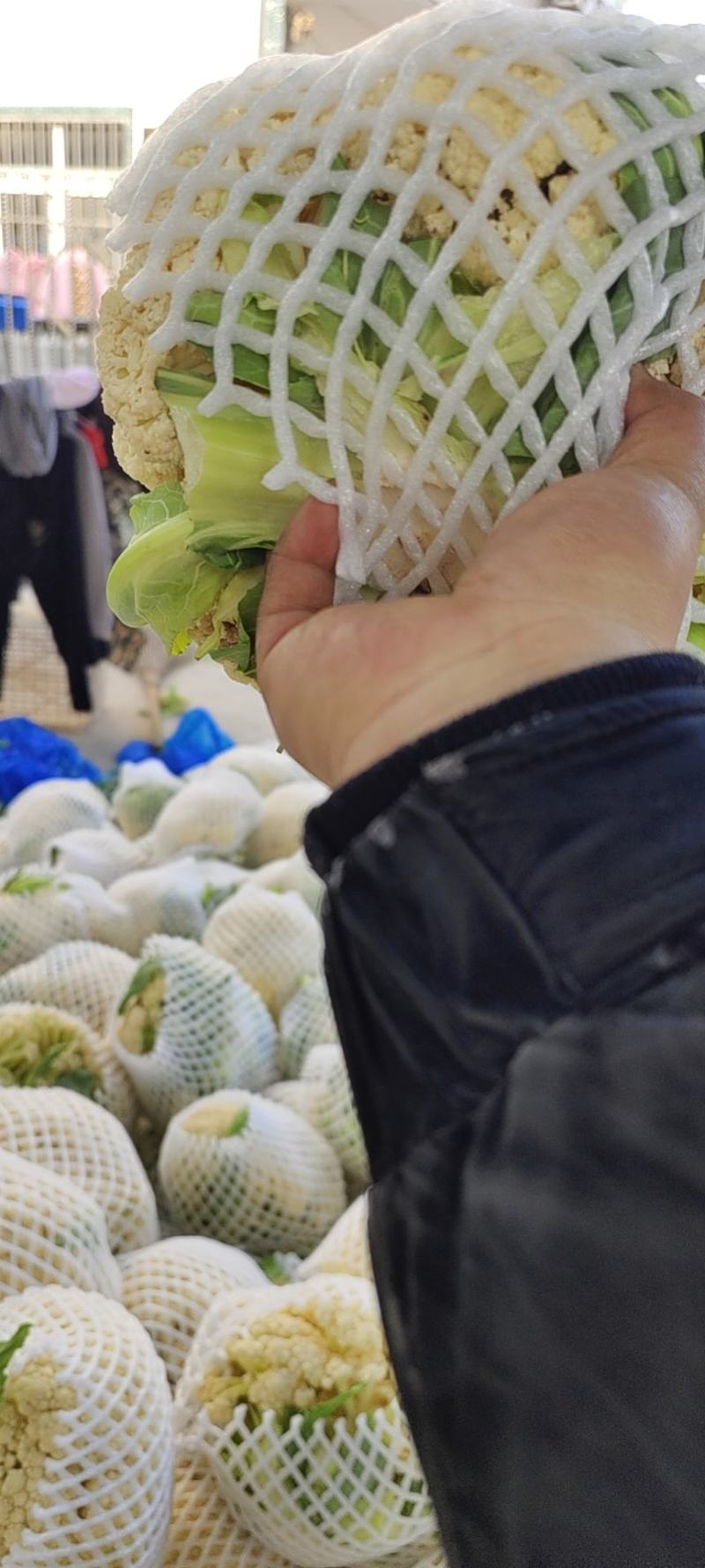 安徽有机花菜新鲜有机白花菜花散花现采现摘精品菜花
