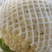 安徽有机花菜新鲜有机白花菜花散花现采现摘精品菜花