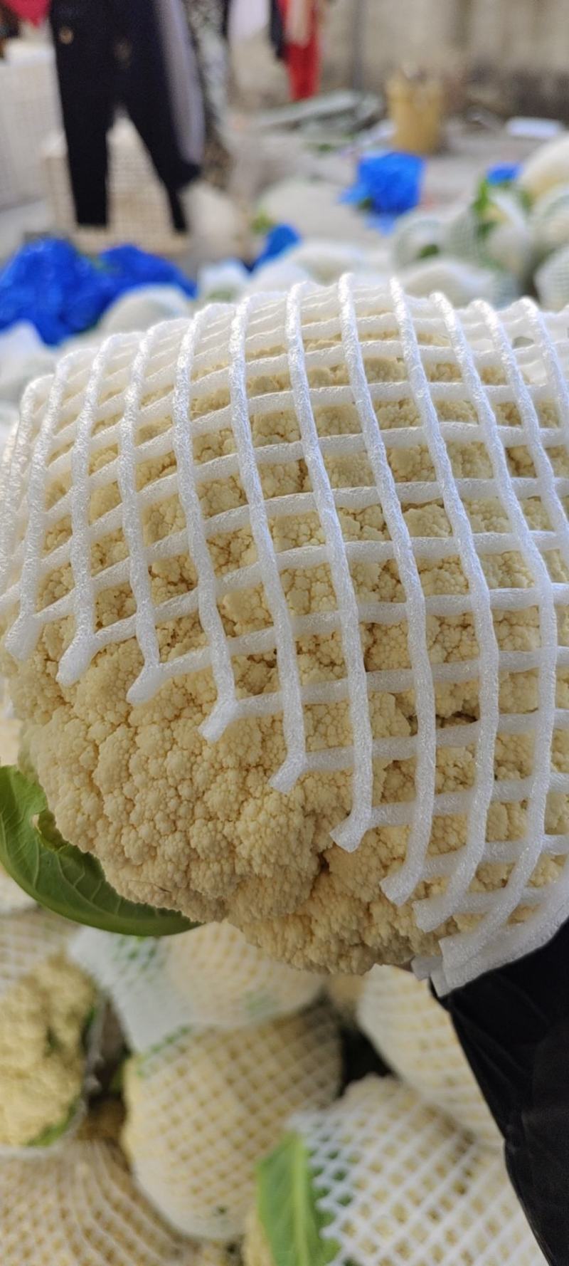 安徽有机花菜新鲜有机白花菜花散花现采现摘精品菜花