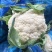 安徽有机花菜新鲜有机白花菜花散花现采现摘精品菜花