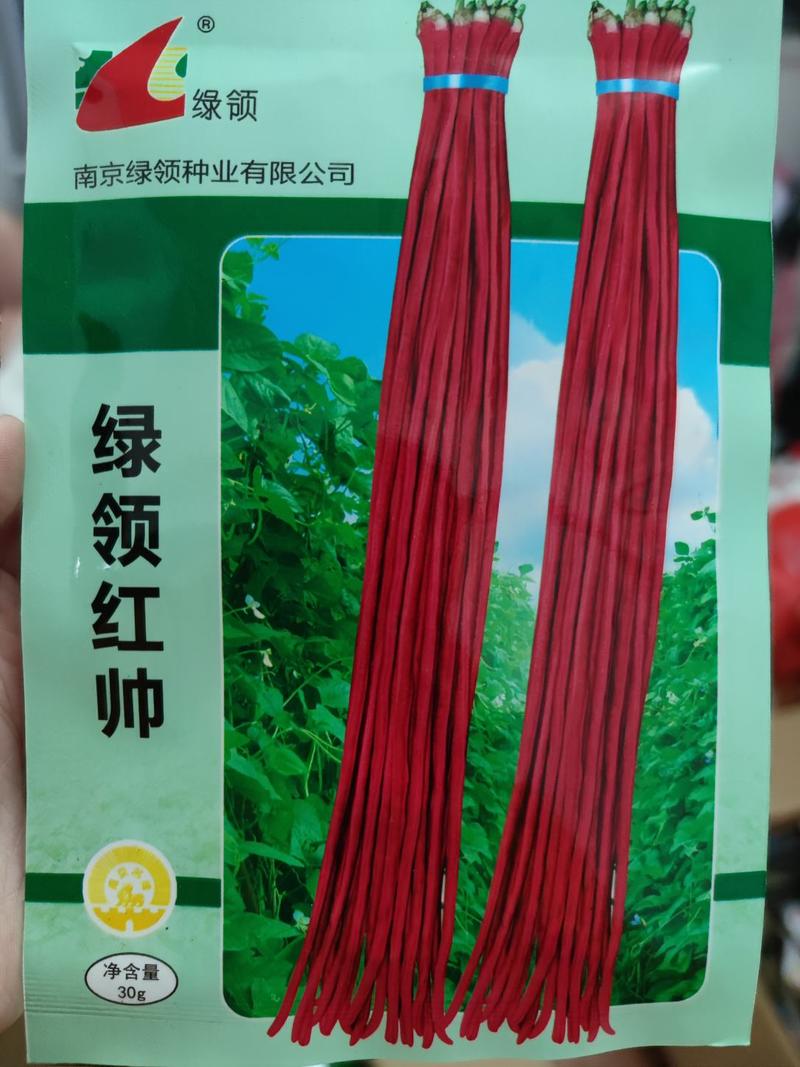 绿领红帅豇豆种子200克，红条荚长100，粗1cm以上，