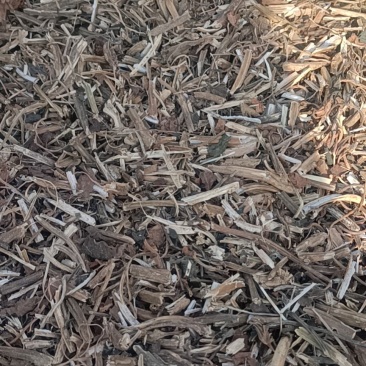 卢龙山地干粉白薯秧子大量出售中，欢迎来电砸单