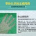 绿色防尘网，盖土网，厂家直销，各种规格尺寸定制