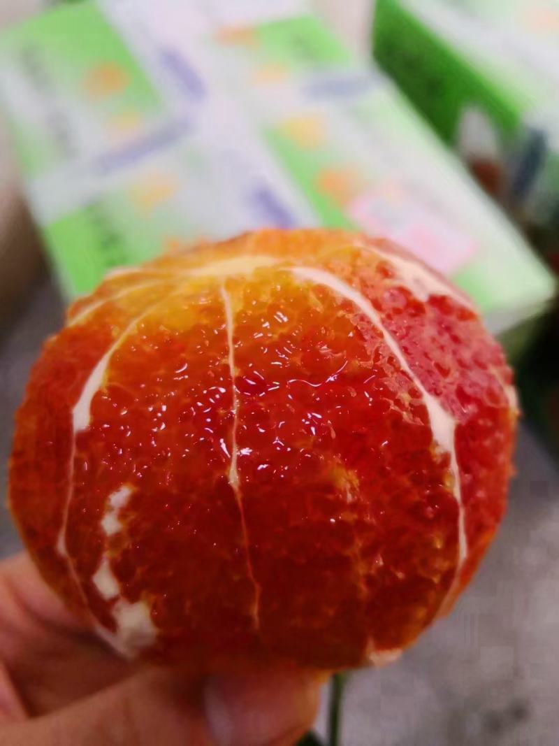 长寿湖血脐