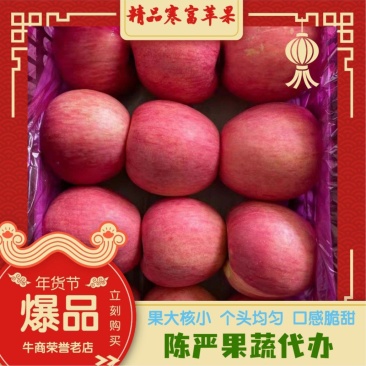 辽宁绥中寒富苹果大量有货个头均匀颜色全红口感脆甜大量有货