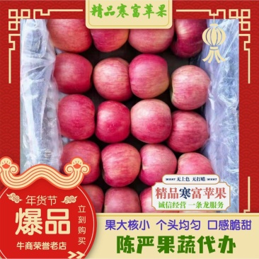 辽宁绥中寒富苹果大量上市了个大皮毛亮颜色全红