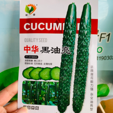 中华黑油亮黄瓜种子清香脆嫩皮薄肉厚杂交油亮型黄瓜种籽