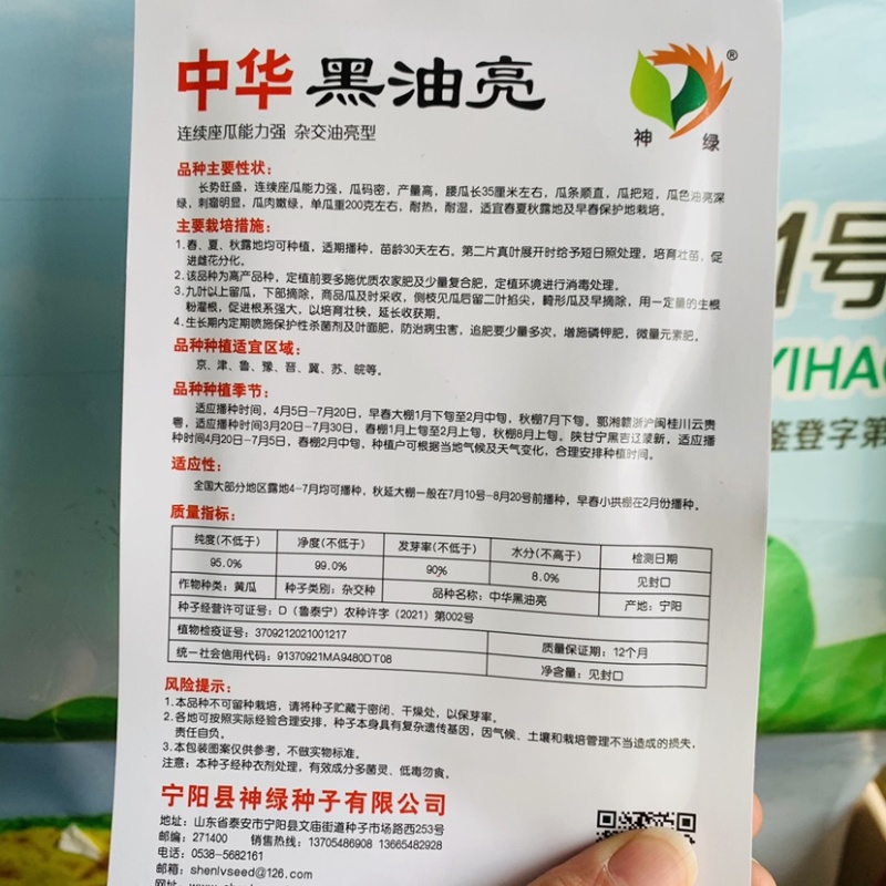 中华黑油亮黄瓜种子清香脆嫩皮薄肉厚杂交油亮型黄瓜种籽