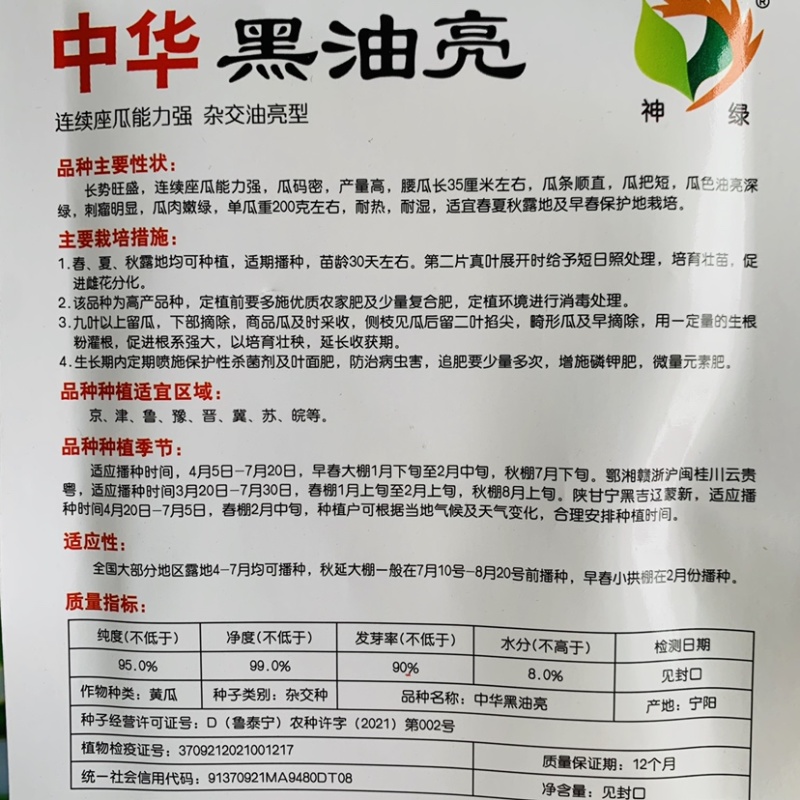 中华黑油亮黄瓜种子清香脆嫩皮薄肉厚杂交油亮型黄瓜种籽