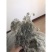 老头草,产地东北直供,药典标准,支持线上交易