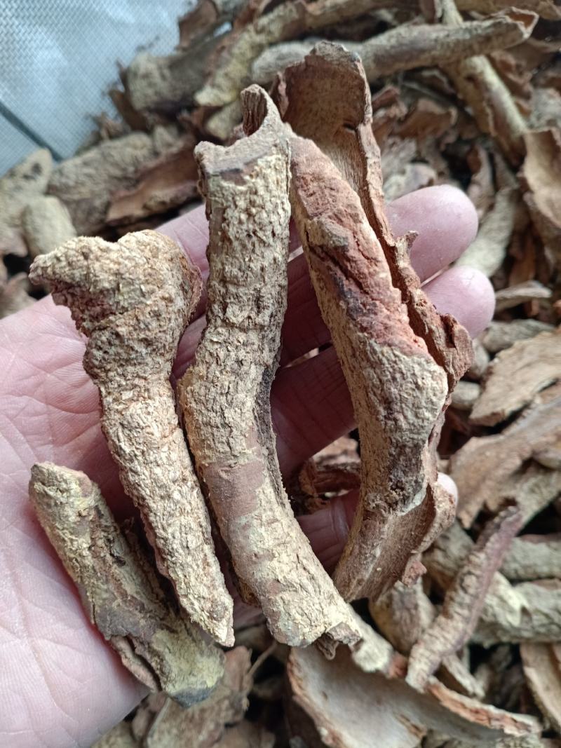 雷公藤皮，紫金皮质量保证，经营各种中药材欢迎咨询合作！