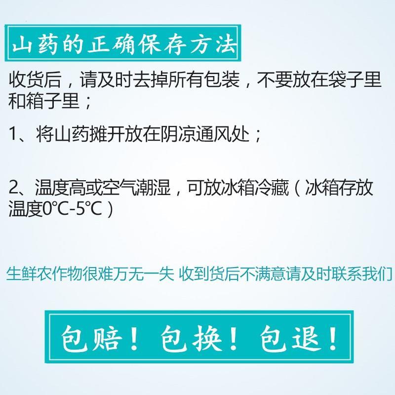 铁棍山药河南温县垆土铁棍怀山原产地铁杆怀淮山药