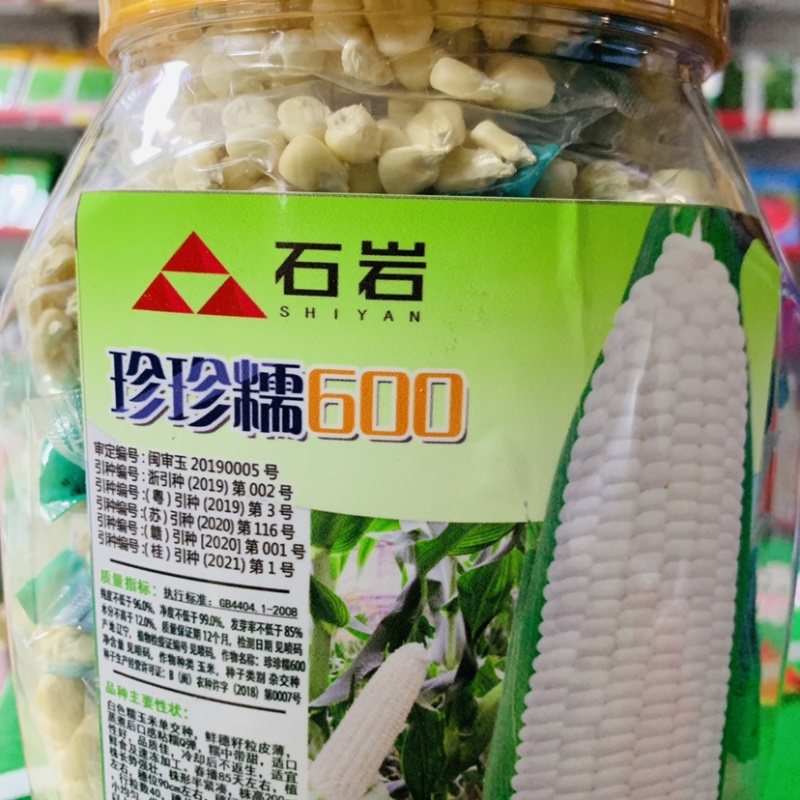 1250克装晓富珍珍糯600白糯玉米种子粘糯Q弹糯中带甜