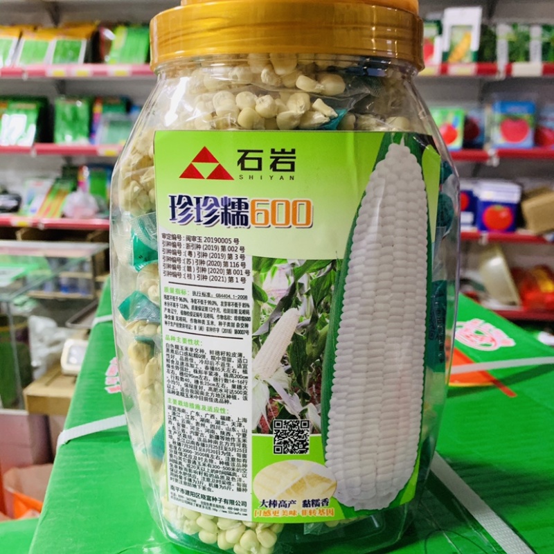 1250克装晓富珍珍糯600白糯玉米种子粘糯Q弹糯中带甜